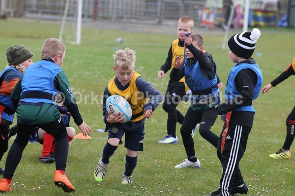 DAD22356 - Rookies/Mini Rugby on 7s Day