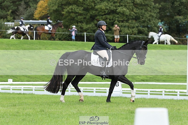 251023A-113754-03374 - D-315-Georgina.Marks