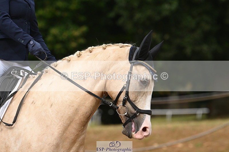 250719A-093126-02935 - 031-Catherine.Boyd-Dante's.Spring