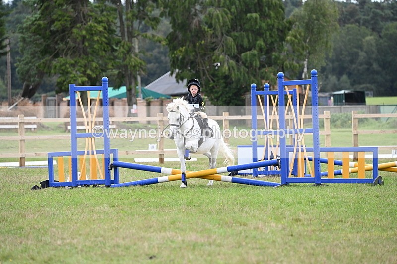 WJ6_0146 - 40cm Time 10:00 to 10:28