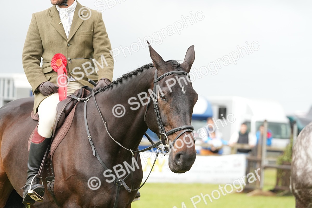 SBM_12795 - Class 97-98 - LIHS BSHA Rising Star Working Show Horse Hunter