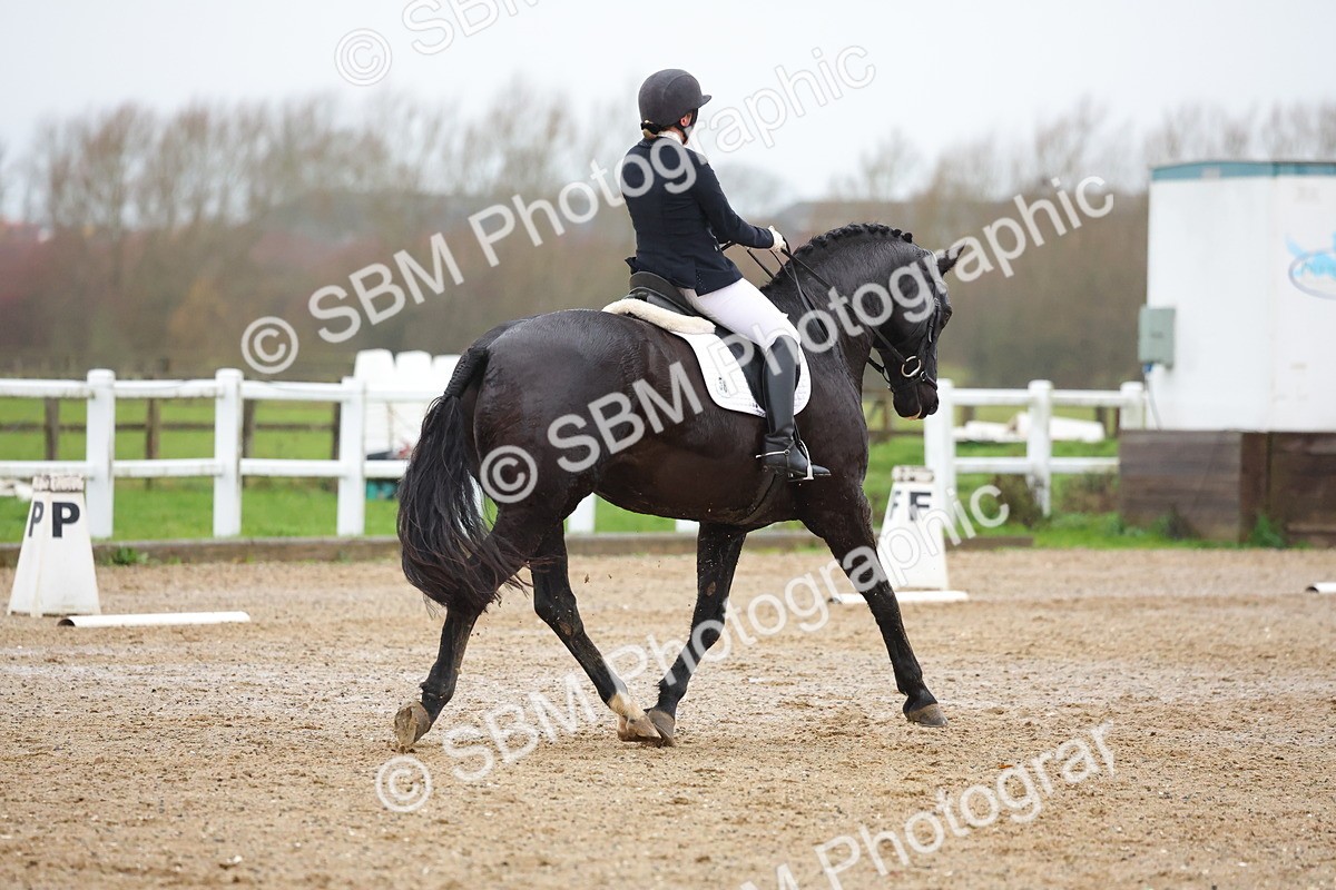 SBM_004803 - Class 12 - Medium 4