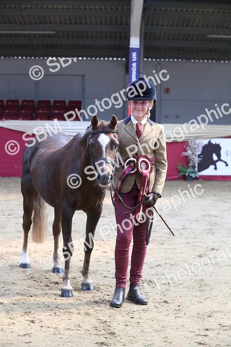 SBM_04478 - Class 7R Regional - IH Diamond