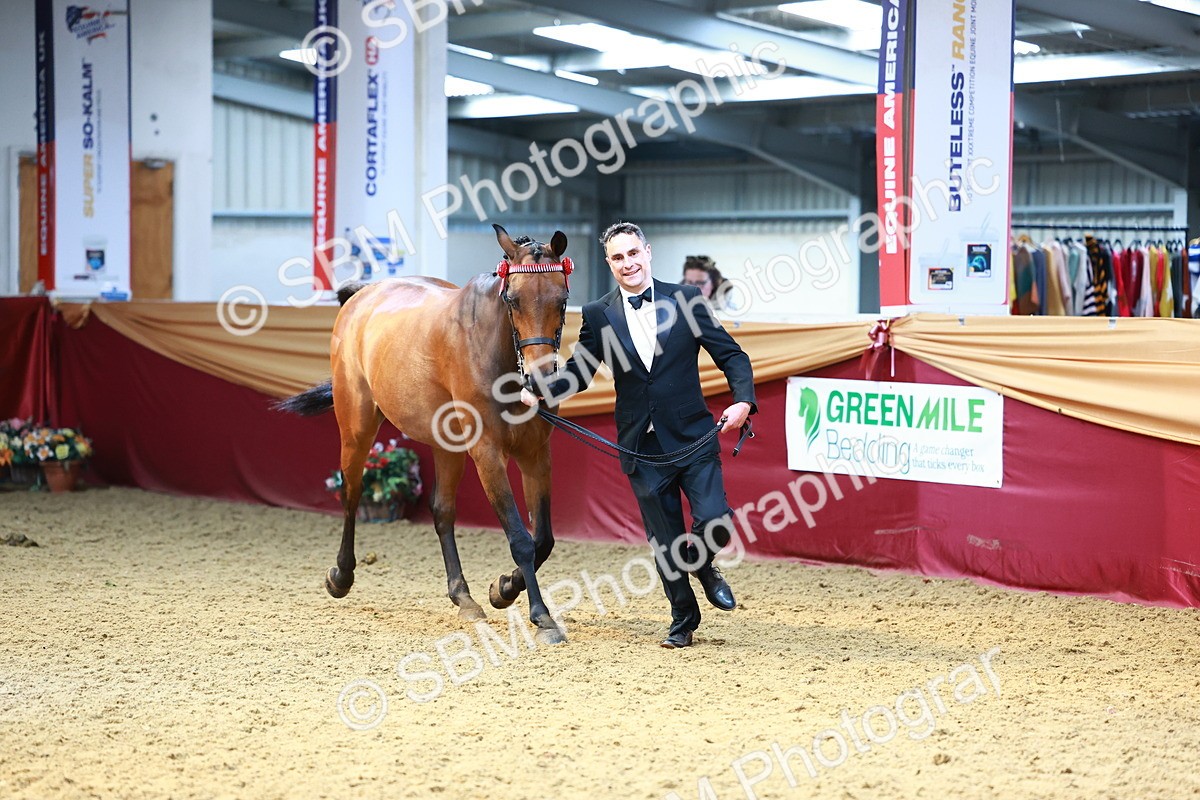 SBM_23230 - Class 903 - Supreme Final - IH Pre Vet