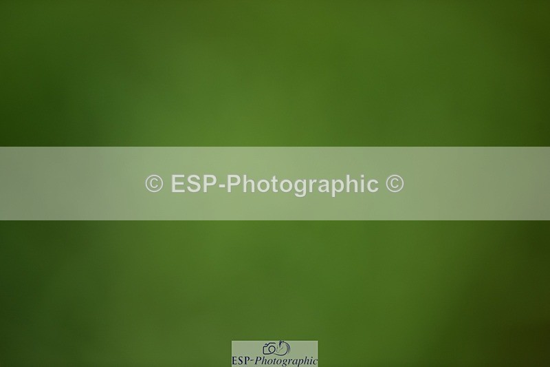 240605-110154-00146 - Cls 1 Prelim 17 SQ