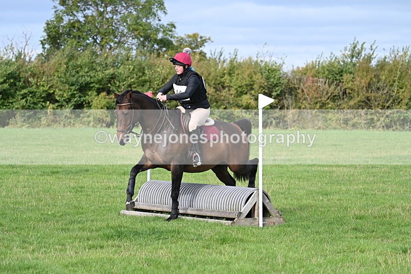 WJ7_8280 - 60cm Pairs