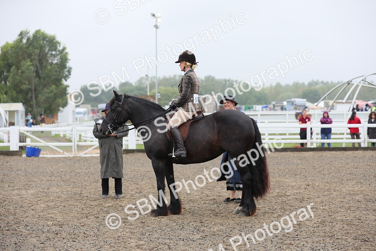 SBM_20300 - Class 803 - Ridden Combination 65+