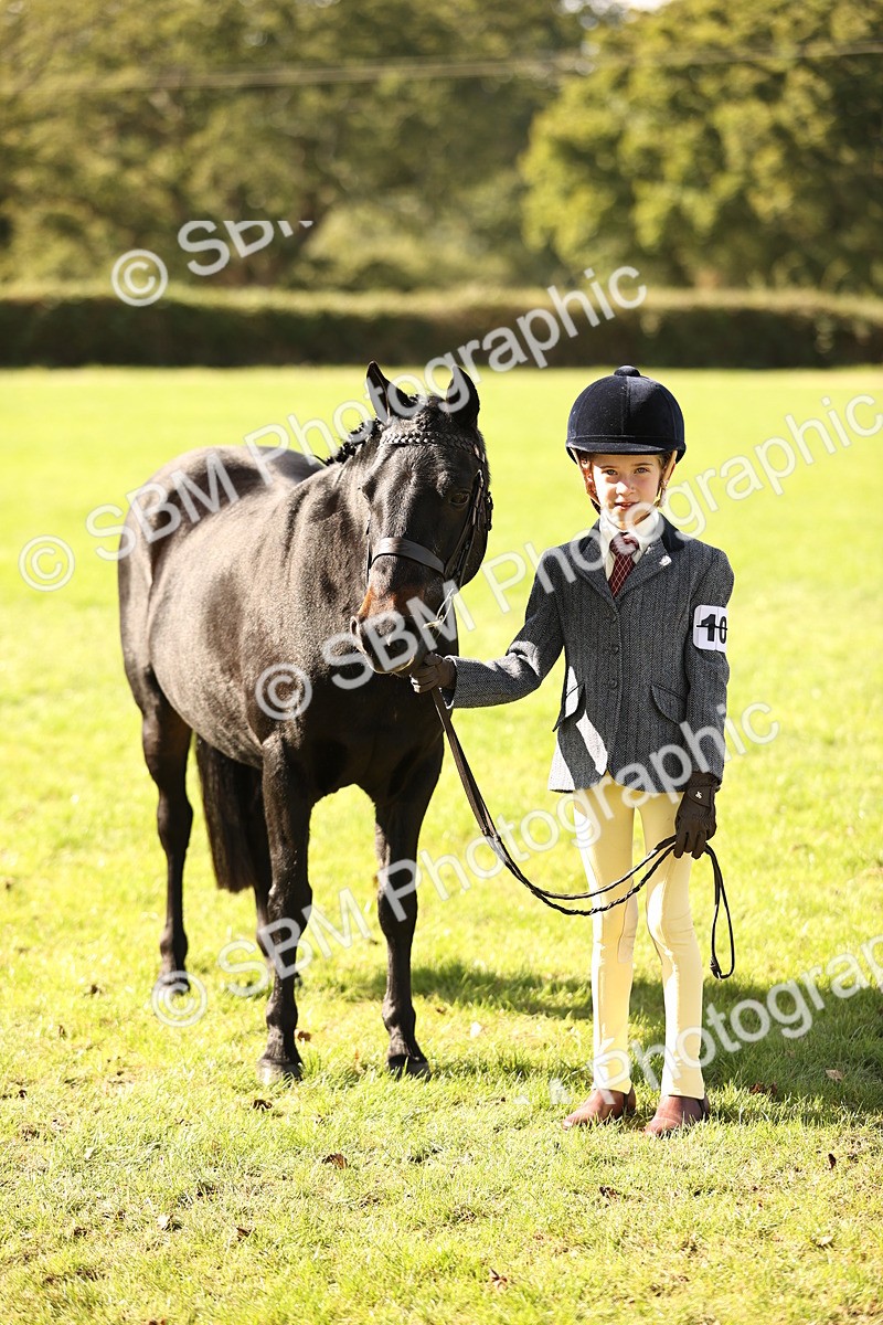 SBM_26184 - S5 - Novice & Newcomers In Hand