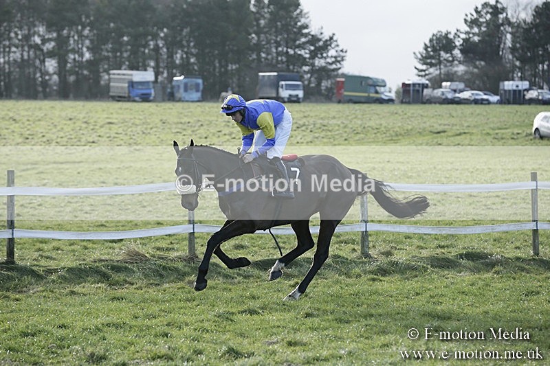 PtP 070118 -99 - Larkhill Racing Club Point to Point Larkhill 07/01/2018