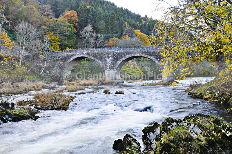 9 - Autumn around Selkirk