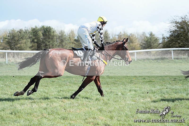 PtP 230324 266 - Tedworth Hunt PtP Larkhill Raccourse 23rd March 2024