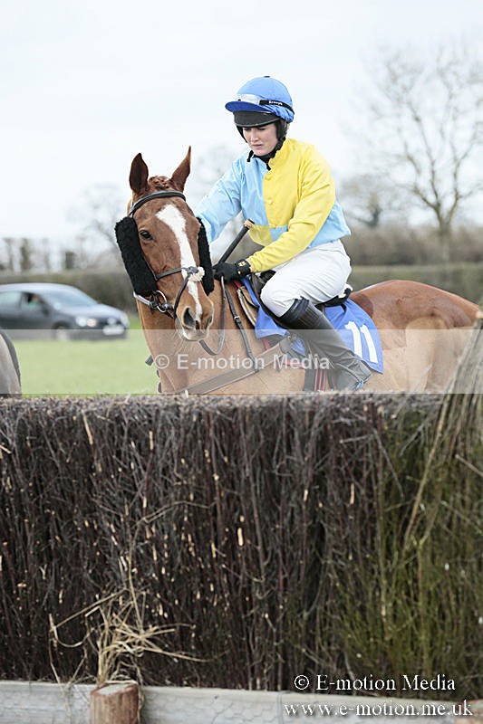 PtP 230319 70 - VWH Hunt Siddington Point-to-Point Racing 23/03/19