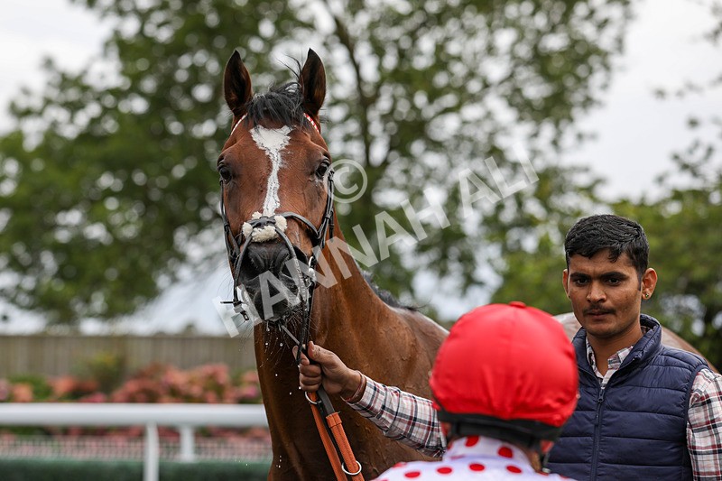 250824-Race 6-Lerwick-9504 - Race 6