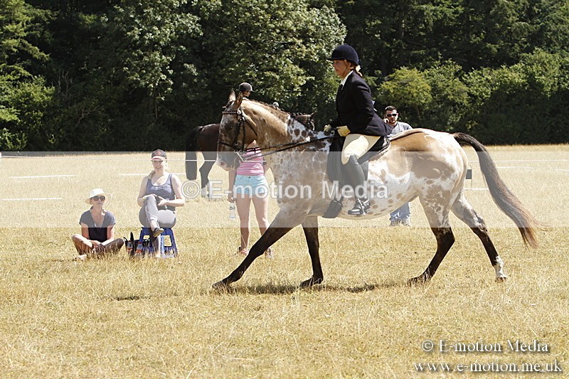 _BS_0773 - BVRC Show 2018 Ring 1