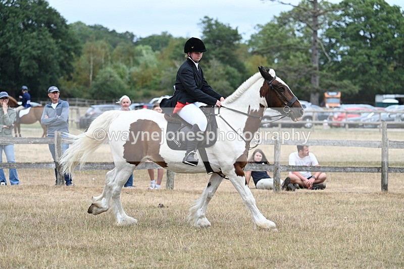 WJ7_1374 - Class 8 Ridden Veterans
