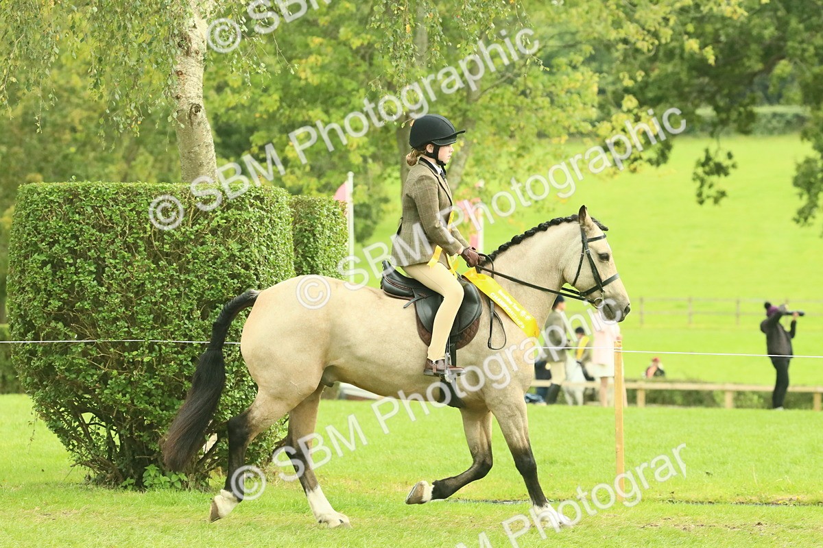 SBM_74995 - Ridden Pony Supreme Championship