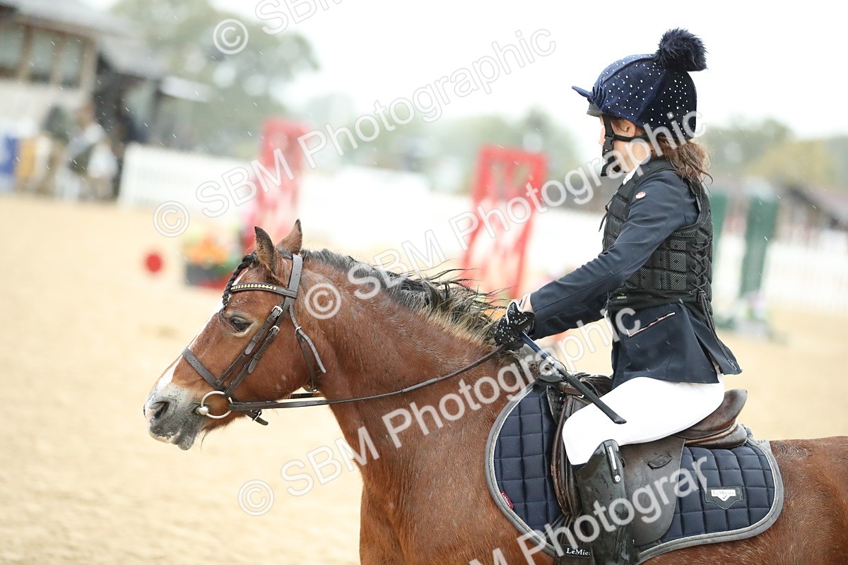 SBM_34329 - J60 Clear Round 50cm
