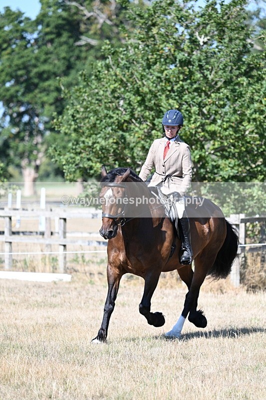 WJ7_3933 - Class 9 Mountain & Moorland Ridden