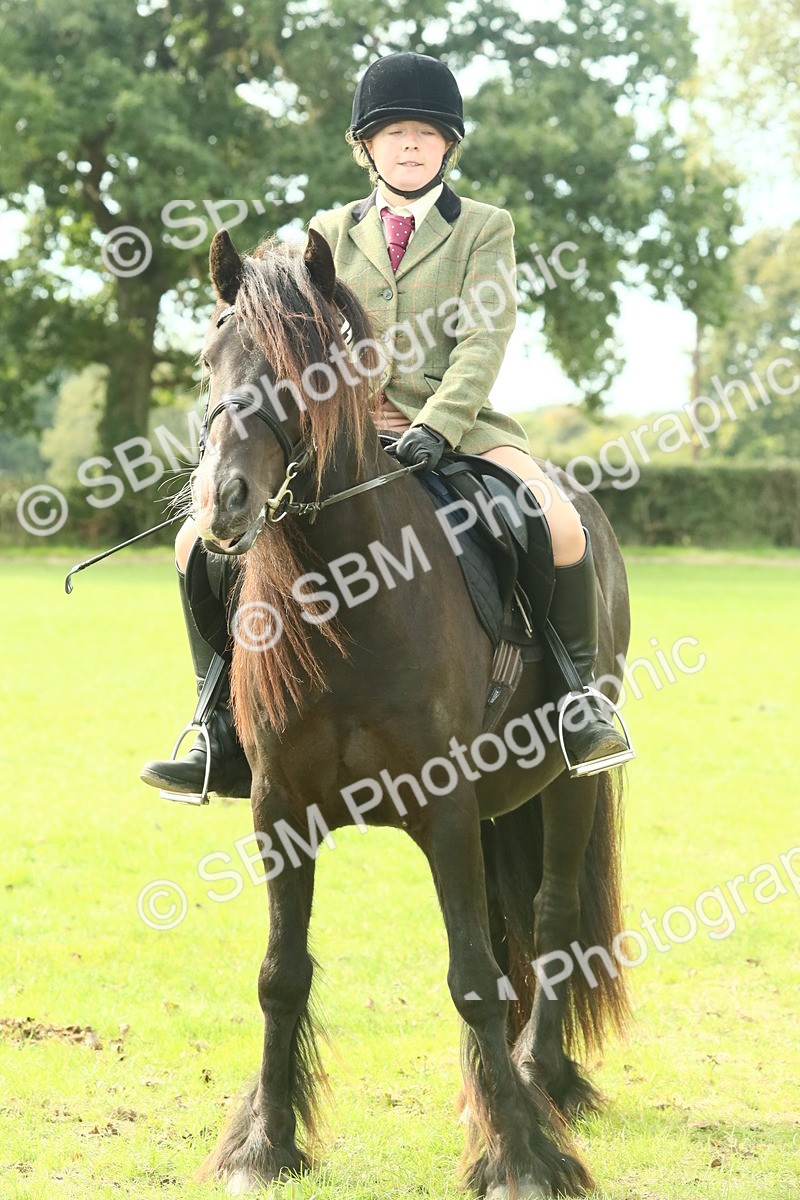 SBM_69385 - S58 - Mini Show Cob Ridden