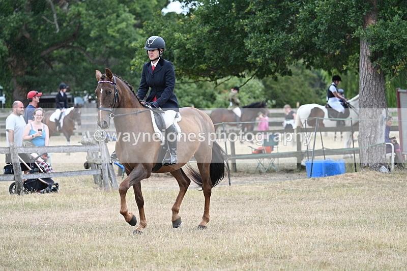 WJ7_0857 - Class 7 Riding Club Show Horse