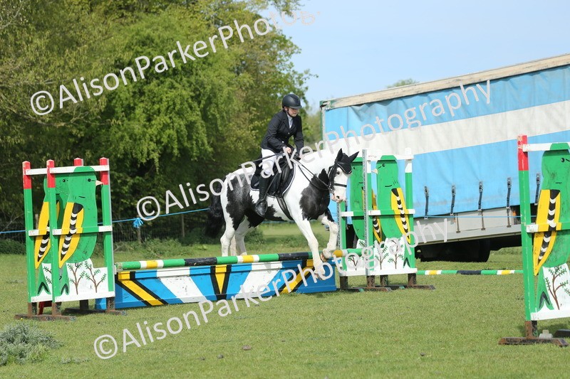 20260426-1463 - Class 14 - Novice 60cm