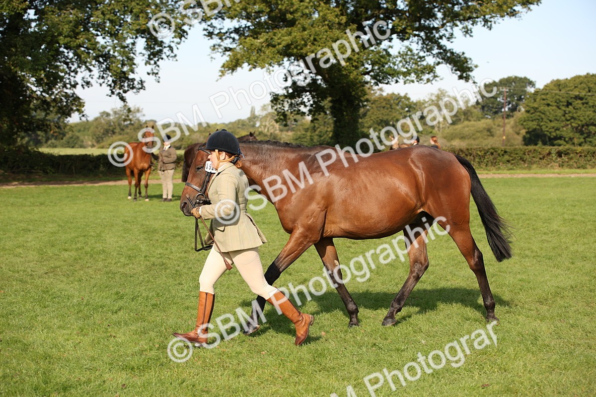 SBM_60105 - S53 - Hunter In Hand