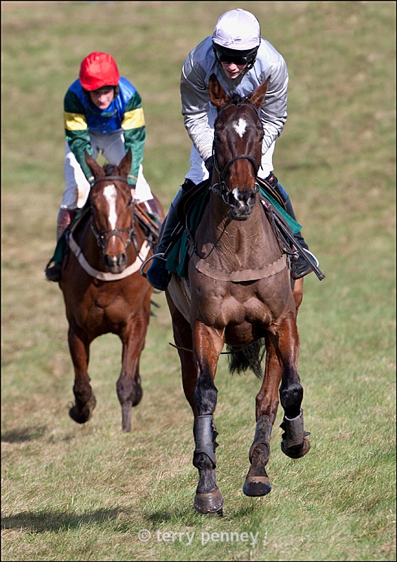 point to Point 2012 3 - Equestrian Sport