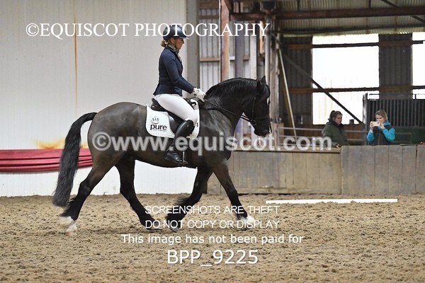 BPP_9225 - ELEM 6