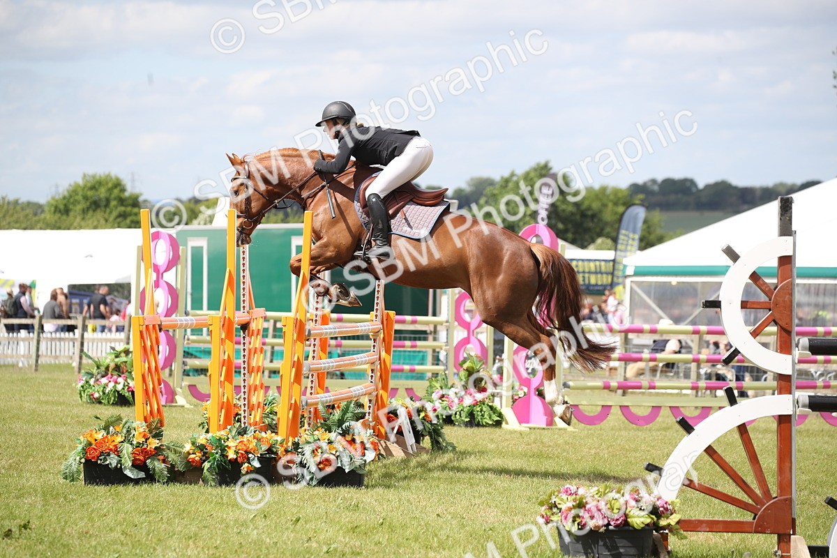 SBM_17478 - Class 208 - Senior Foxhunter 1.20m Open