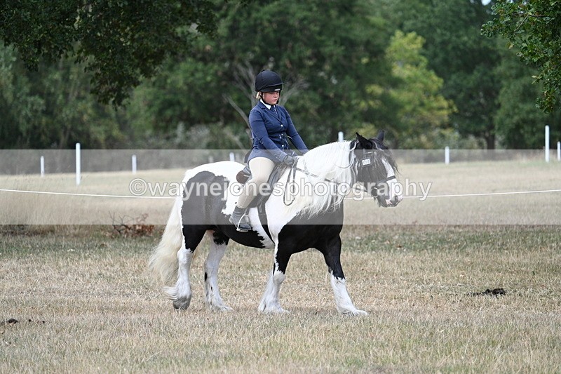 WJ7_4658 - Class 12 Ridden Cob