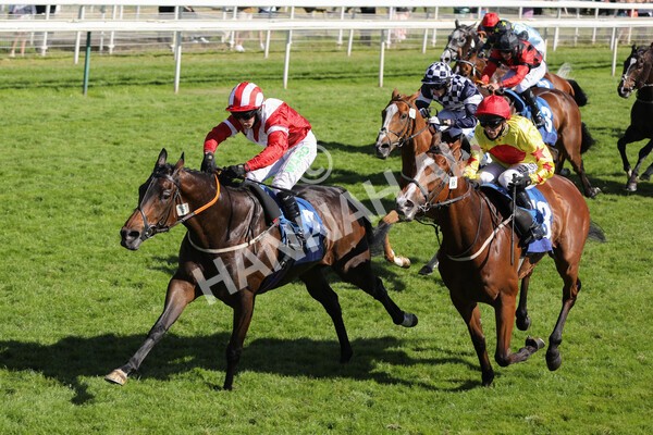  - Race 6 4.50pm The Ice Co supporting Macmillan Stakes