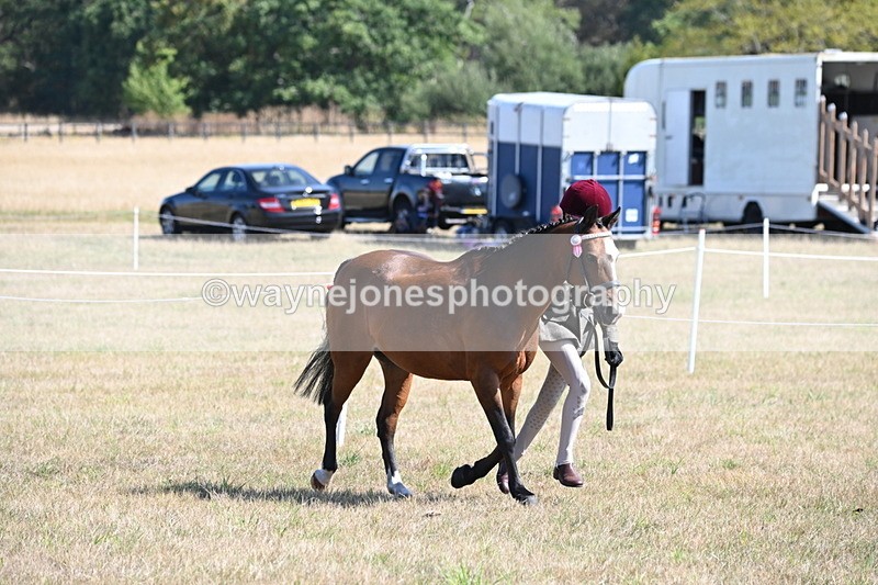 WJ6_4721 - Class 17 Mountain & Moorland