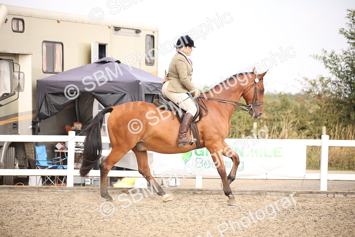 SBM_12933 - Class 406a - Working Veteran 50cm (15-19)