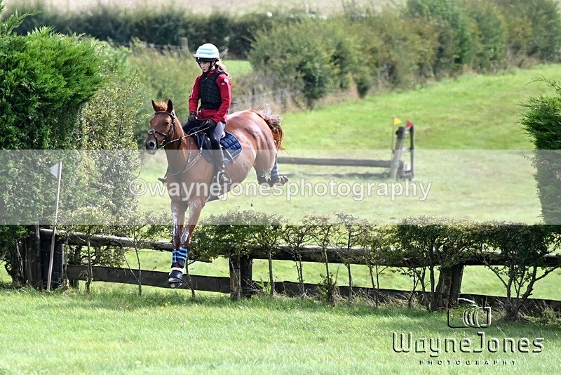 WJ6_9172 - Edited Examples