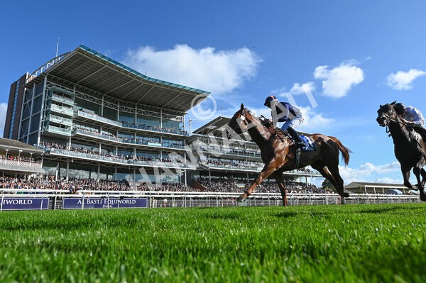 yr08102022r3-30 - Race 3 2.40pm The Coral 'Beaten-by-a-Length' Free Bet Handicap