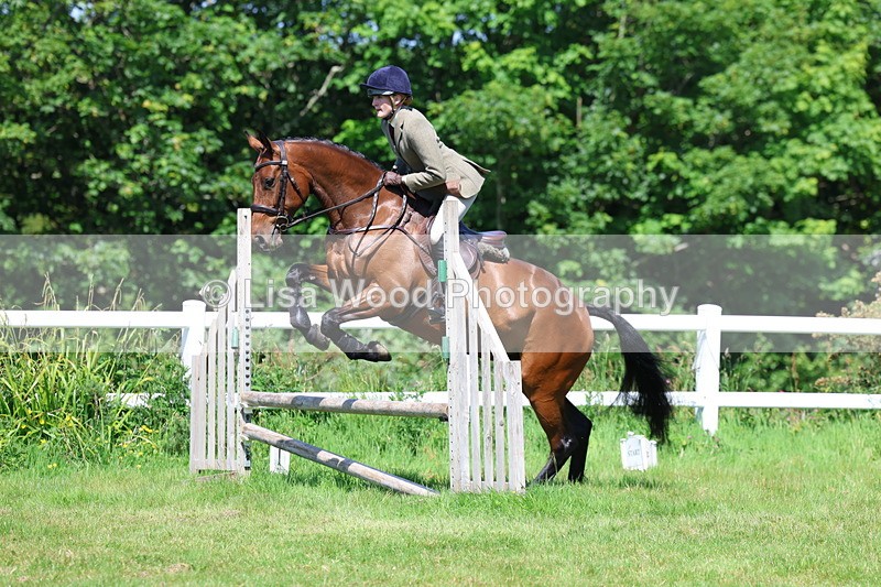 3E7A6968 - Class 30: Novice Working Hunter