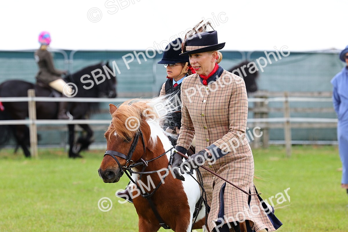 SBM_08225 - Class 42-43 - LIHS BSPS Heritage Working Sports Pony