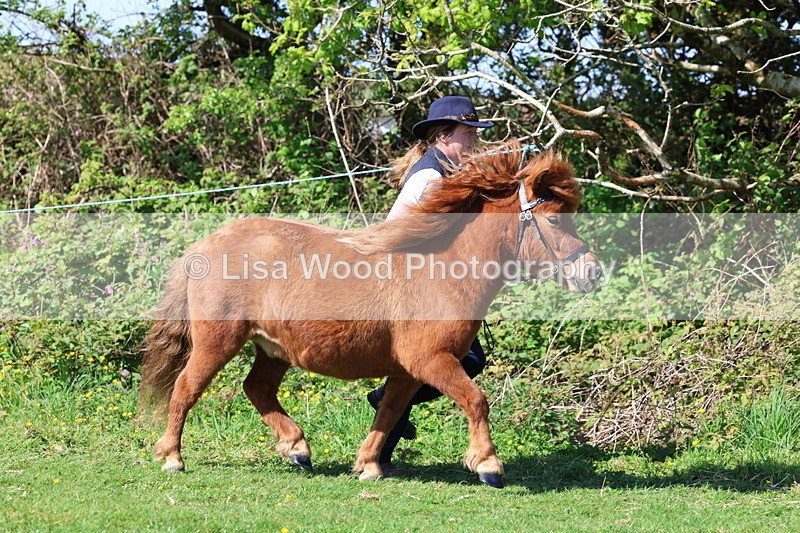 3E7A9348 - Class 16: Best Grass Kept