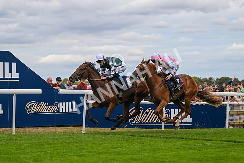 300825-Race 3-Secret Echo-2-14 - Race 3