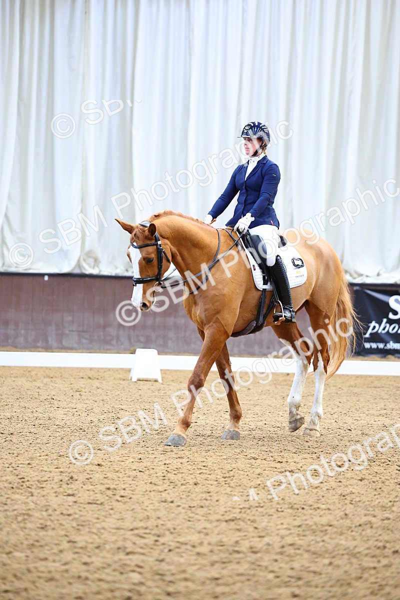 026A1451 - Class 4 - Novice 4