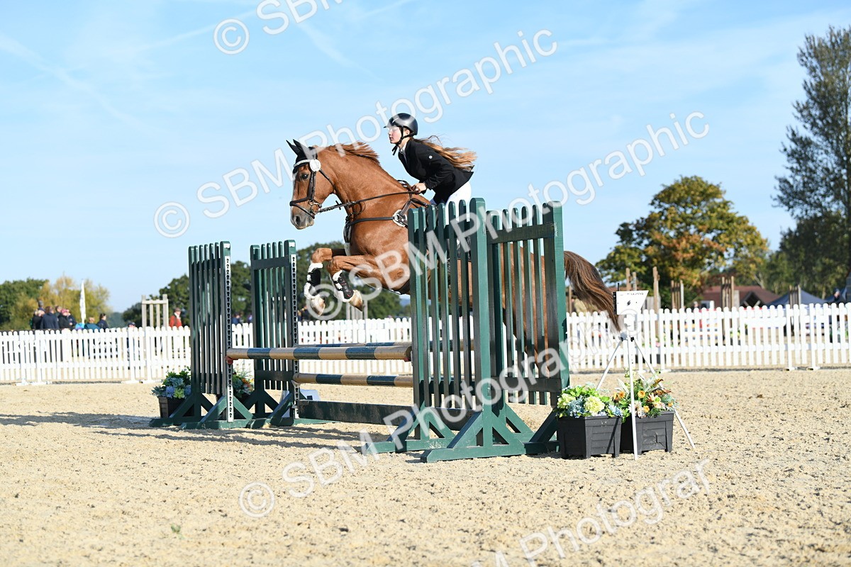 SBM_58347 - J24 - Junior Horse 75cm Championship