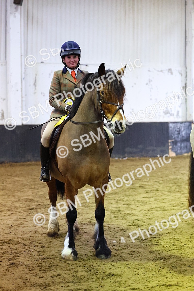 SBM_006650 - Class 43 - RIHS Qualifier Exceeding 43cms