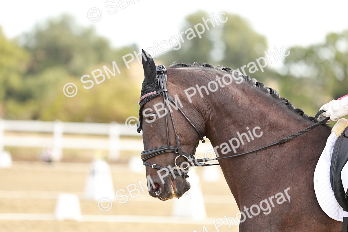SBM_008682 - Class 10 - M6 - 9.00-9.56