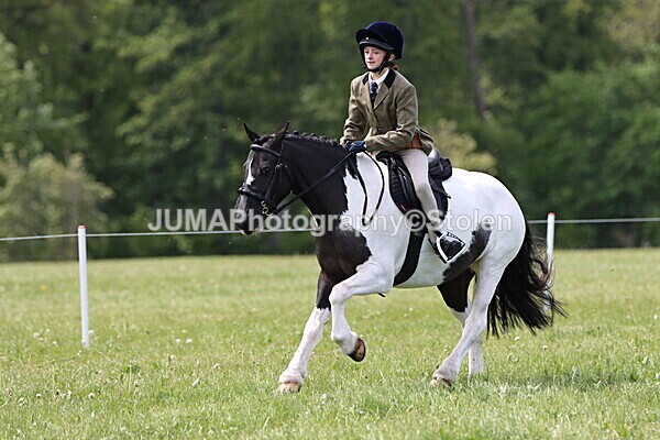 IMG_3375 - Working Hunter