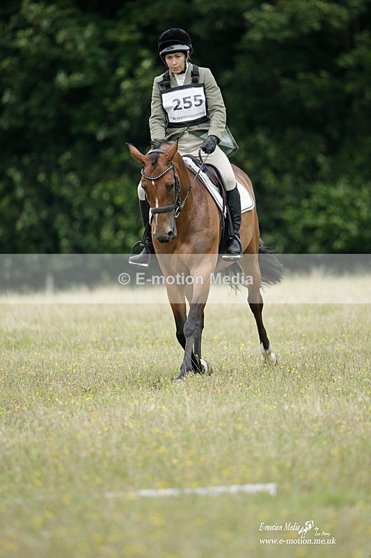 BVRC 030721 245 - Bourne Valley Riding Club Dressage 03/07/21