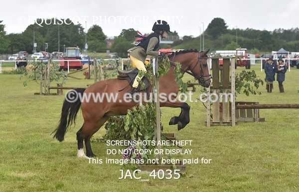 JAC_4035 - 40CM WORKING HUNTER