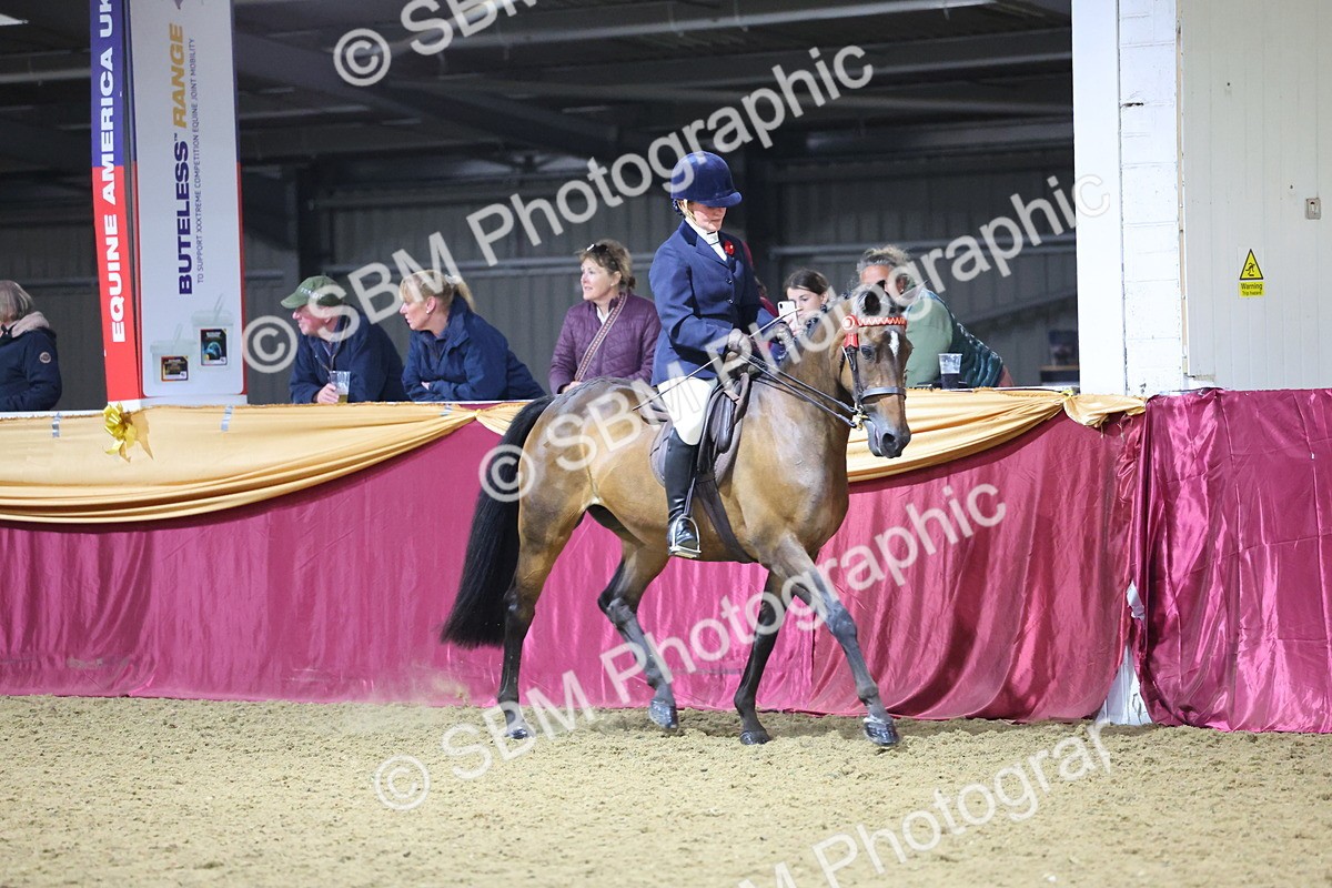 0B8A4531 - Class P Veteran Champ