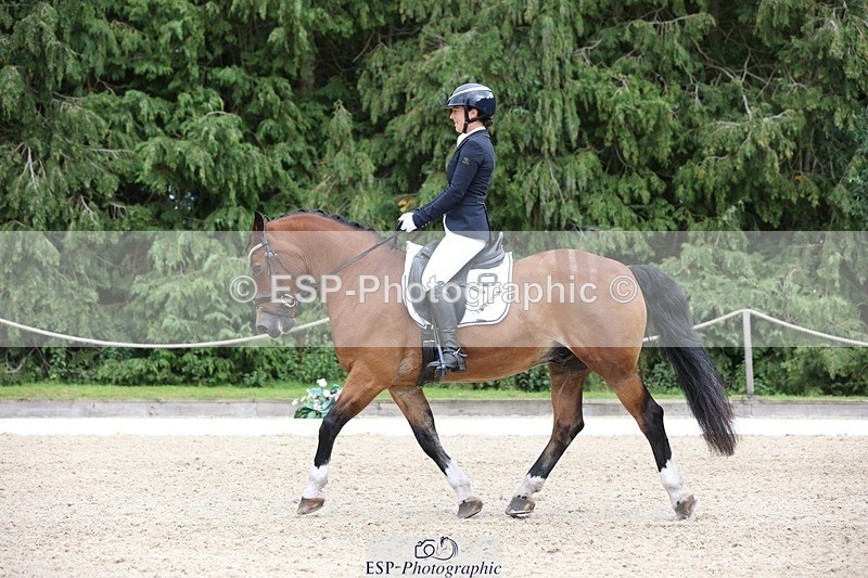 230812-150834-05057 - Cls 5 Novice Bronze 15.00 to End