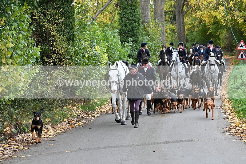 WJ7_7182 - Walk Home..