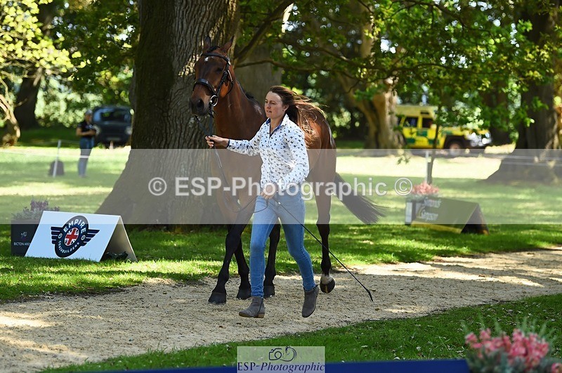 230524-153050-00317 - 373-BENGAL_LORE-Pippa_Taylor-WEDTrotUp+DR